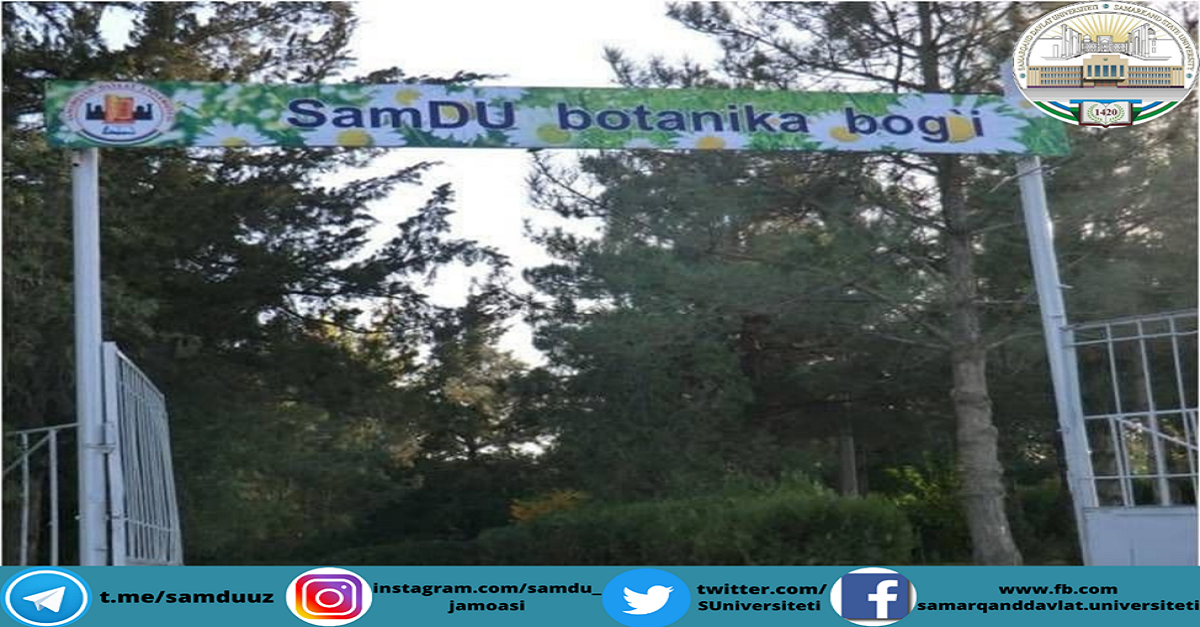 O‘zbekiston Respublikasi davlat mustaqilligining o‘ttiz yilligi oldidan