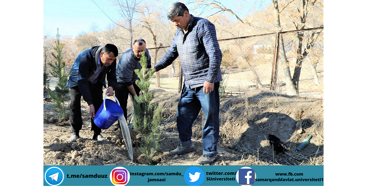Самарқанд давлат университетида “Яшил макон” умуммилий лойиҳаси давом этмоқда