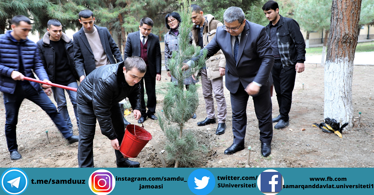 Яшил макон лойиҳаси давом этмоқда