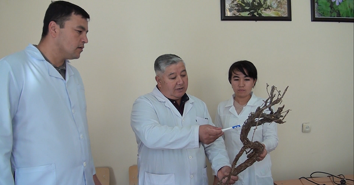 Самарқанд давлат университетининг Абу Али ибн Сино маркази ҳақида биласизми?