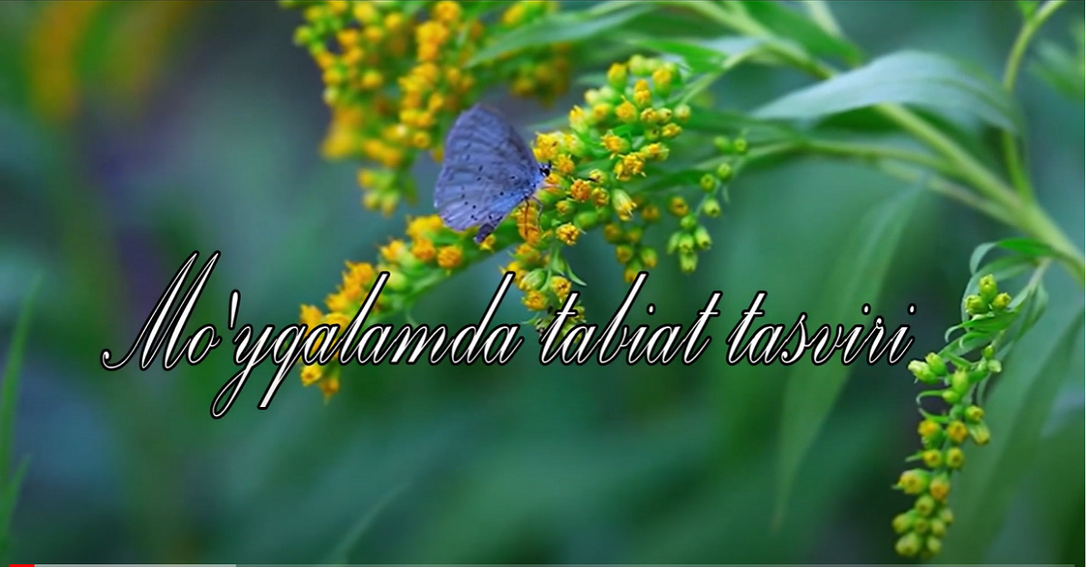 Mo'yqalamda tabiat tasviri