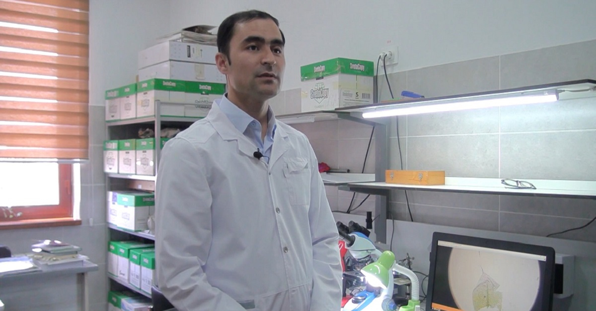 Бриофитлар нима ?