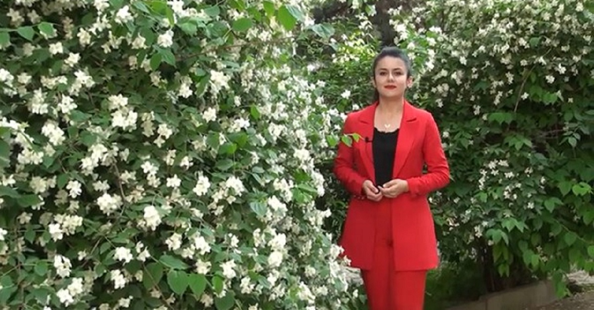 Сиз мен учун энг азиз инсон...