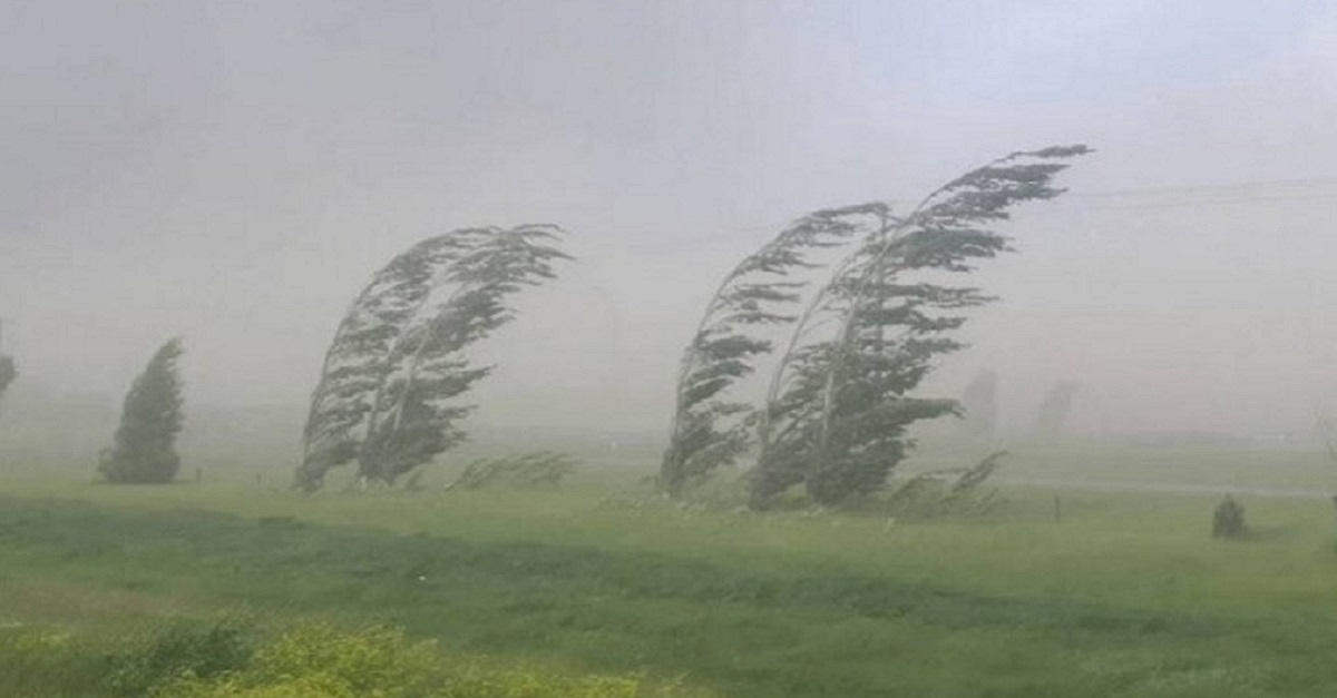 On June 2nd, in the northern, southern and desert regions of Uzbekistan, the wind may increase to 18-23 m/s, and during from June 3-4th dust is expected in some places.