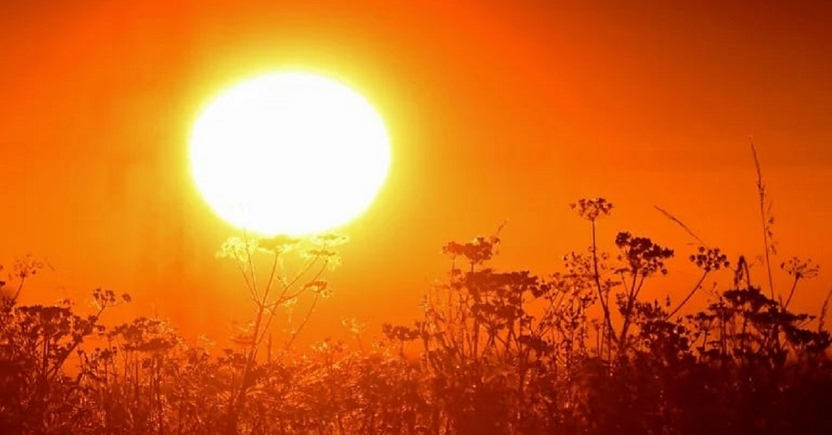 Today the air temperature in Samarkand is expected to rise to 39 degrees