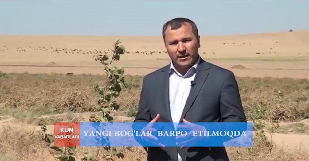 Samarkand State University created a garden in Koshrabot