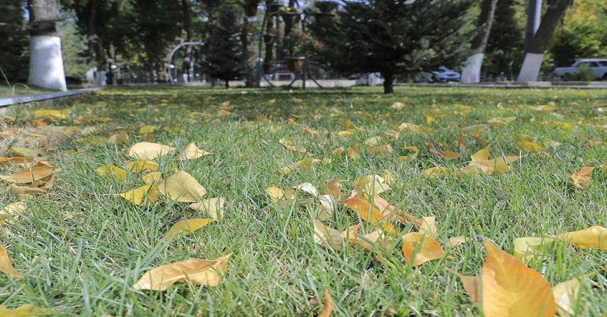 What will the weather be like in Samarkand today, October 22?
