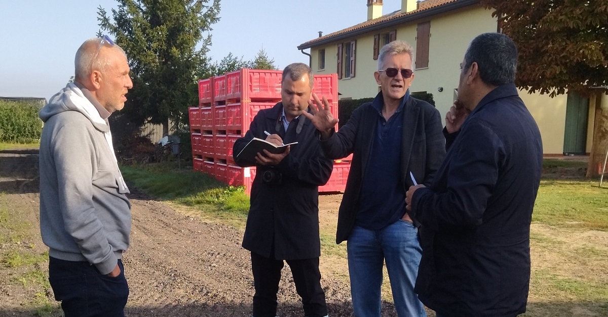 The experience of italy in the field of fruit and viticulture is being studied…
