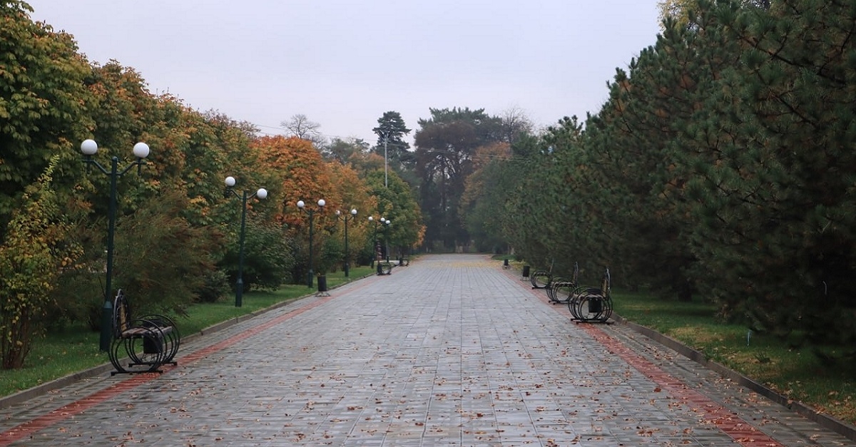 On a rainy day on university boulevard