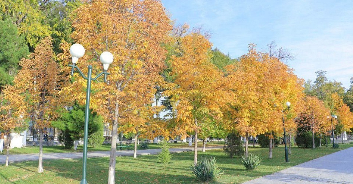Today, November 21, the weather will be clear in Samarkand