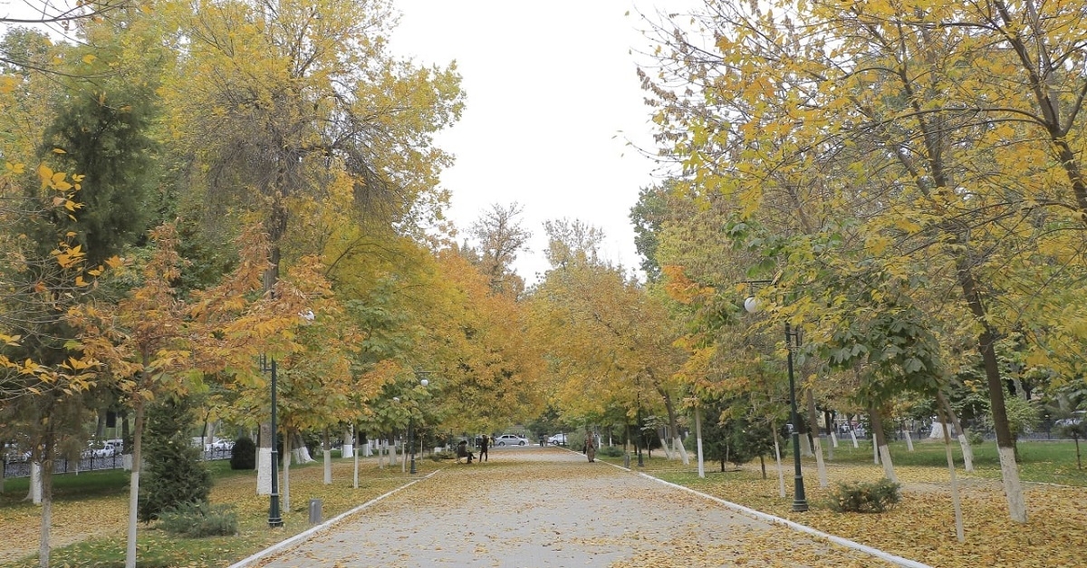 What will the weather be like in Samarkand today, November 25?