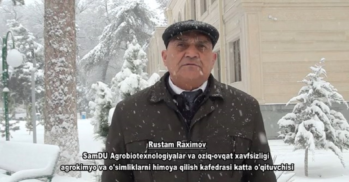Expert opinion: how to protect the vineyard from frost?