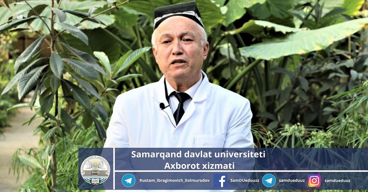 Самарқанднинг ноёб дарахтлари  ҳақида нималарни биламиз?        