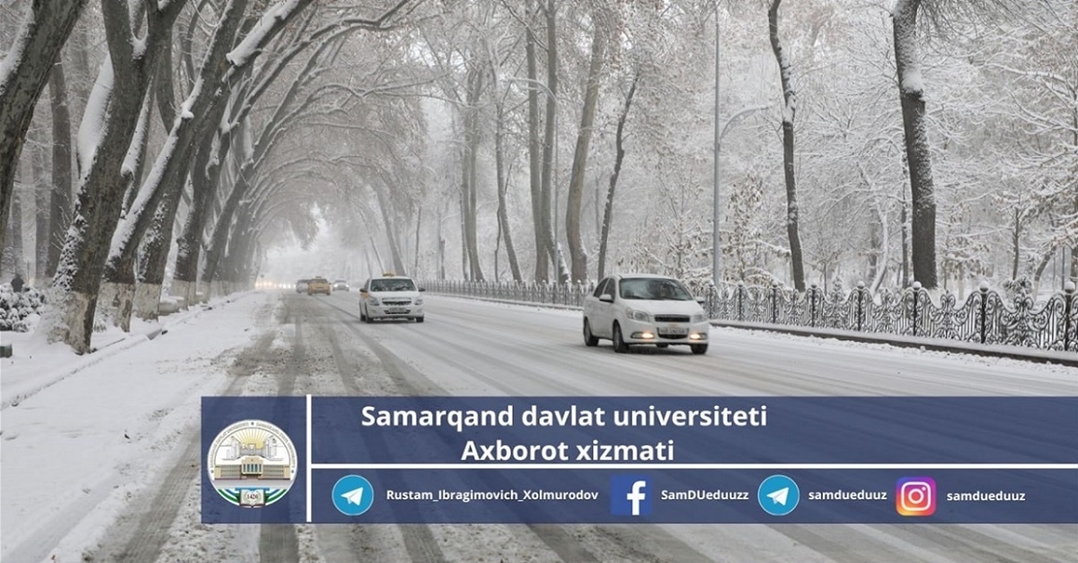 Winter landscapes on Universitetsky Boulevard...