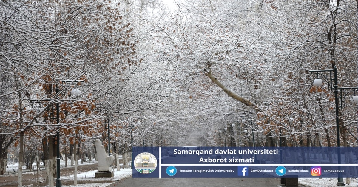 Засыпанный снегом Университетский бульвар