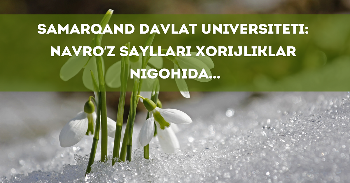 Samarkand State University: Celebration of Navruz through the eyes of foreigners...