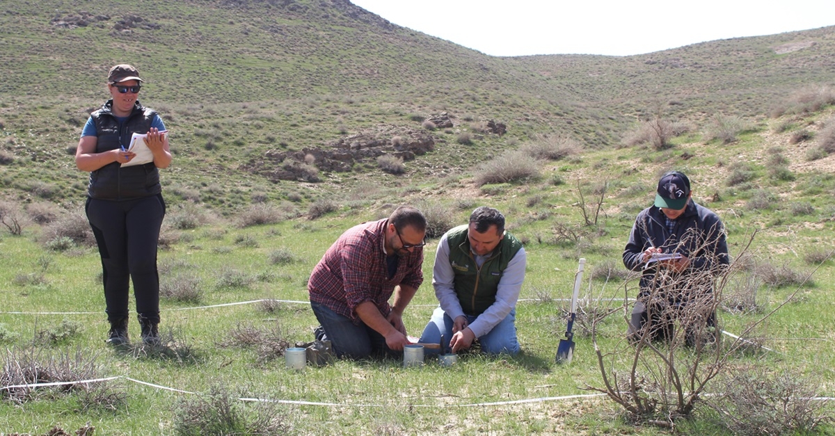 The modern research on rangeland restoration has been started at Samarkand State University