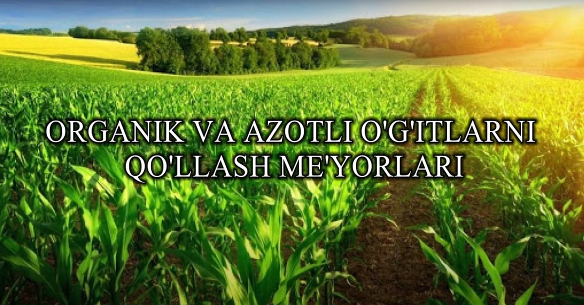 Organik va azotli o'g'itlarni qo'llash me'yorlari