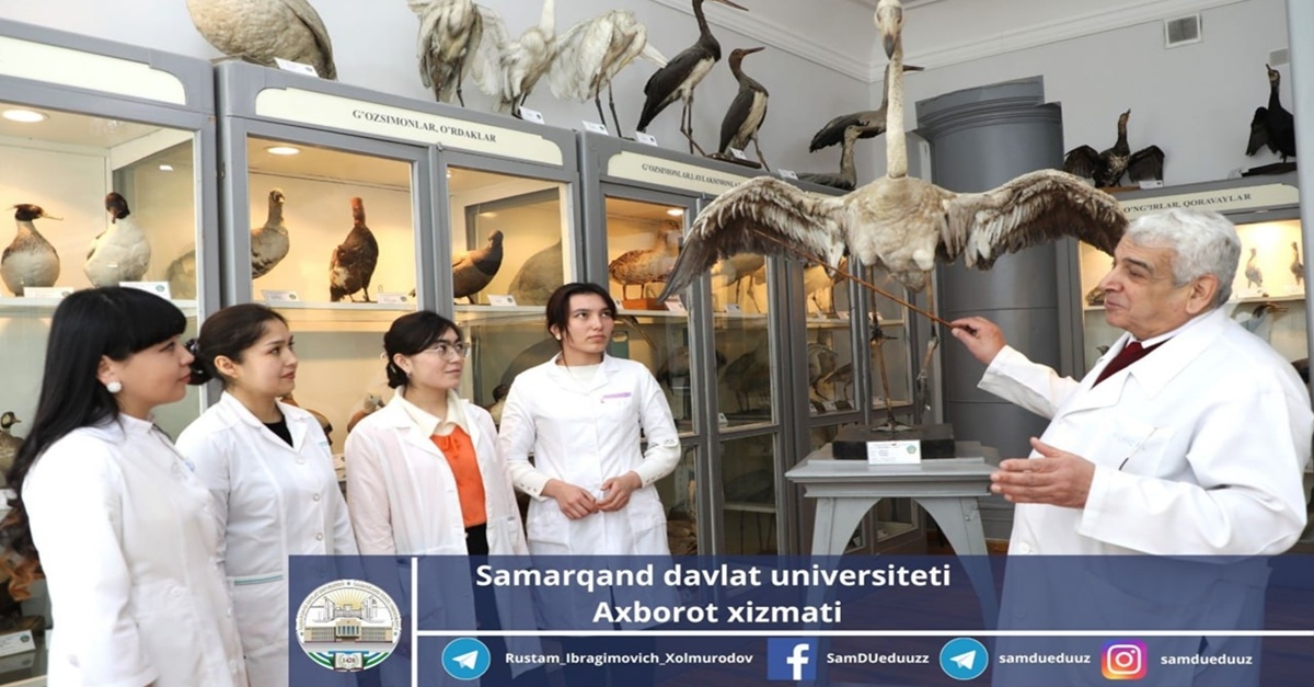 Samarqand davlat universiteti zoologiya muzeyida 200 dan ziyod eksponat saqlanadi...